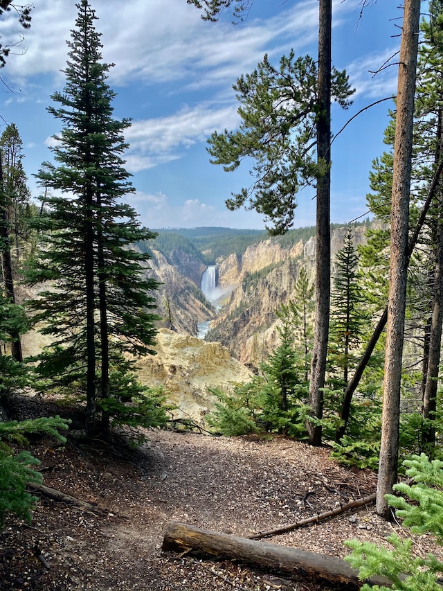 View of the Grand Canyon of Yellowstone